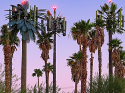 Вышки мобильной связи, которые сливаются с окружающей средой (Фото)