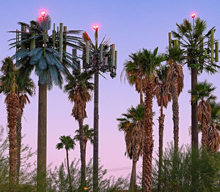 Вышки мобильной связи, которые сливаются с окружающей средой (Фото)