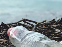 Тонни відходів будуть перетворені на електроенергію: як працює незвичайна технологія