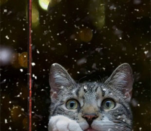 Проходимо зиму з комфортом: поради українця, який пережив окупацію