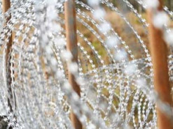 Литва витратить 80 млн євро на оновлення системи спостереження на кордоні