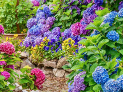 Гороскоп на 27 липня для всіх знаків зодіаку: день, який не можна затьмарювати злими вчинками