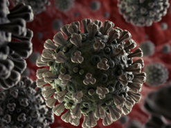 В Испании разработают приложение для прогнозирования динамики распространения коронавируса