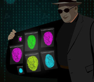 Правоохранители ликвидировали маркетплейс по продаже личных данных 24 млн человек за криптовалюты