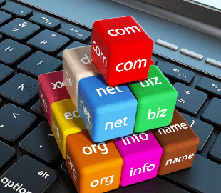 Домен с именем Новомиргородской РГА выкупил порносайт: подробности скандала с пикантной ссылкой в учебнике для 10 класса