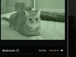 Як перетворити старий смартфон на камеру відеоспостереження: це зможе кожен