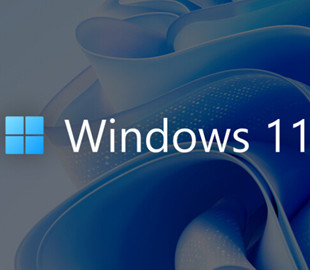 Деякі користувачі ПК зіткнулися з проблемами після оновлення Windows 11 24H2