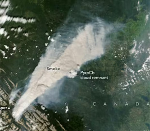 Дим від сотень лісових пожеж затьмарив небо над Канадою та США