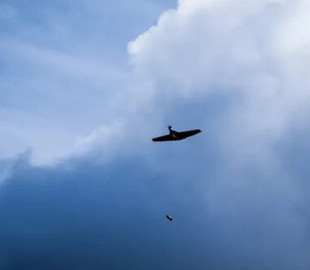 У ЗСУ з’явився новий БПЛА: легкий, потужний і стійкий до РЕБ