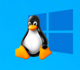 У Windows 11 засвітилася відома функція Linux