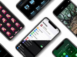 Apple починила неработающую камеру на iPhone