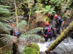 В Австралії знайшли телефон туристки з Бельгії, яка загинула два роки тому