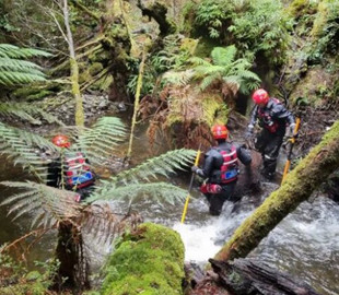 В Австралії знайшли телефон туристки з Бельгії, яка загинула два роки тому