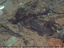 Тіла більшості пасажирів "Титаніка" так і не знайшли: дивні фото пролили світло на таємницю