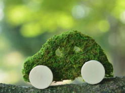 Частка "зеленого" транспорту в ЄС зросла у вісім разів за 20 років