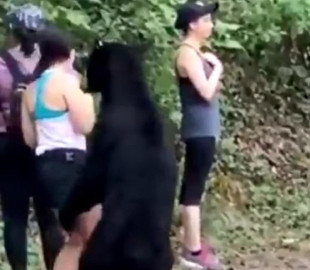 Общительный медведь в Мексике обнюхал туристку и позволил ей сделать селфи