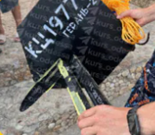 Чоловік у плавках витяг із моря шматок "шахеда" в Одесі