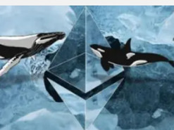 Великий власник криптовалюти переказав рекордні 47 мільйонів у цифровому токені Ethereum