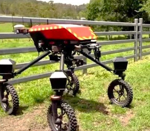 В Австралії корів випасатимуть роботи-скотарі з штучним інтелектом