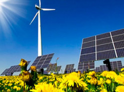 Ветер и Солнце заняли рекордную долю в выработке электроэнергии в мире в 2021 году — более 10%