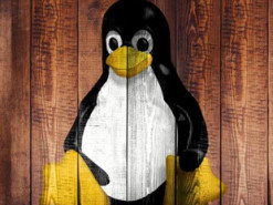 Випуск нової версії Linux затримується через кілька помилок