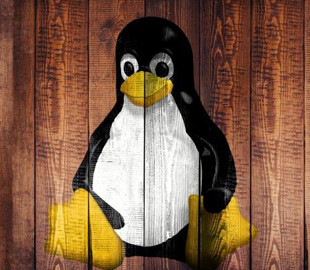 Випуск нової версії Linux затримується через кілька помилок