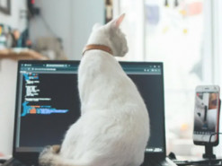 Як подовжити життя ноутбука вдвічі: поширені помилки, які вкорочують ресурс техніки