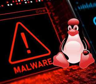 Специалисты обнаружили новый неуловимый Linux-вредонос