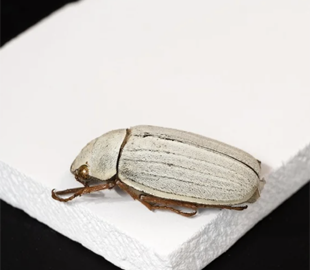 Фізики з Гонконгу представили інноваційний охолоджувальний матеріал