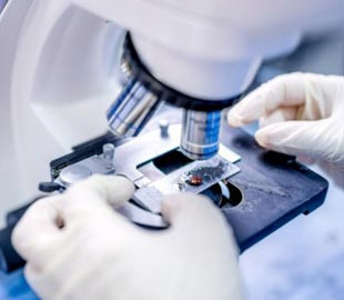 Побачити невидиме: вчені створили квантовий мікроскоп