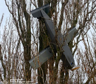 Застряг на дереві: на Київщині виявили ворожий дрон-приманку