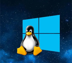 Експерти назвали 5 причин перейти на Linux після закінчення підтримки Windows 10