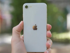 Apple випустить бюджетний смартфон: що відомо про новинку компанії