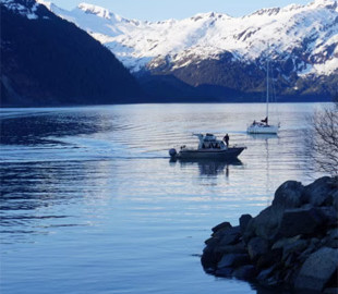 Пентагон презентував Арктичну стратегію, що включає протистояння загрозам з боку Росії та Китаю