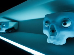 IBM обнаружила ботнет, который использует 90% трафика с устройств Интернета вещей