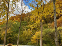 Гороскоп на 1 жовтня для всіх знаків зодіаку: на диво спокійний день