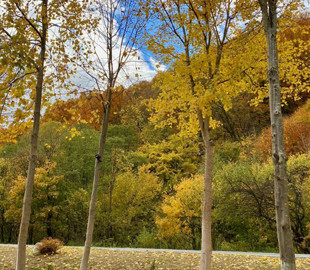 Гороскоп на 1 жовтня для всіх знаків зодіаку: на диво спокійний день