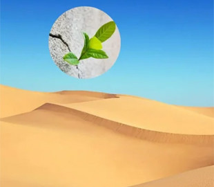 Бетон із пустелі. Вчені зрозуміли, як зробити новий та екологічний будматеріал