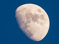 Австралійські вчені планують виростити траву на Місяці