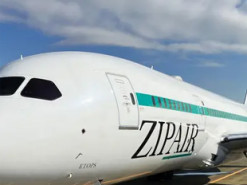 Японський літак обтягнули "шкірою акули" для економії пального – як це працює