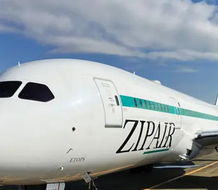 Японський літак обтягнули "шкірою акули" для економії пального – як це працює