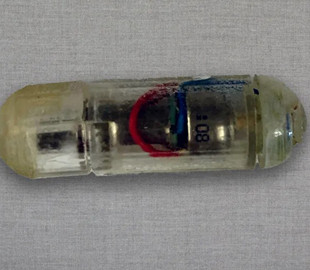 Вчені Массачусетського технологічного інституту працюють над вібраційною капсулою від ожиріння