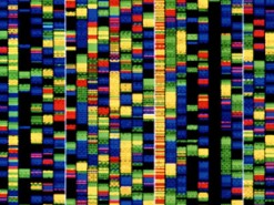 Технология хранения данных на ДНК появится на рынке в 2019 году