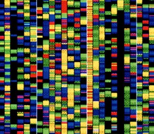 Технология хранения данных на ДНК появится на рынке в 2019 году
