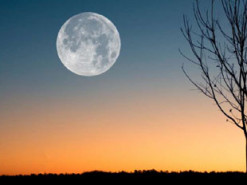 Молодик у Стрільці 24 листопада покращить фінансовий стан трьох знаків Зодіаку