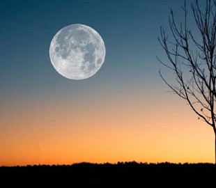 Молодик у Стрільці 24 листопада покращить фінансовий стан трьох знаків Зодіаку