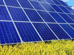 Жителі Дніпра провернули аферу із сонячними панелями і заволоділи понад 8 млн грн