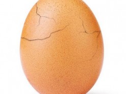 Почти вылупилось: Instagram-яйцо полностью покрылось "трещинами"