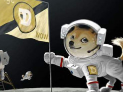 Бульбашка Dogecoin скоро лопне через Ілона Маска, – співзасновник Ethereum