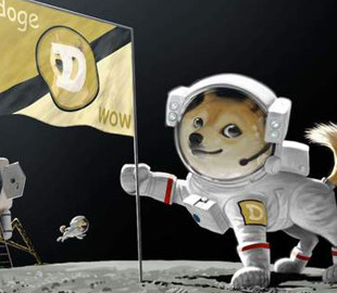 Бульбашка Dogecoin скоро лопне через Ілона Маска, – співзасновник Ethereum